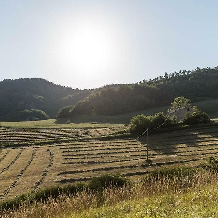 Agriturismo L'Antico Frutto Премилкуоре Екстериор снимка