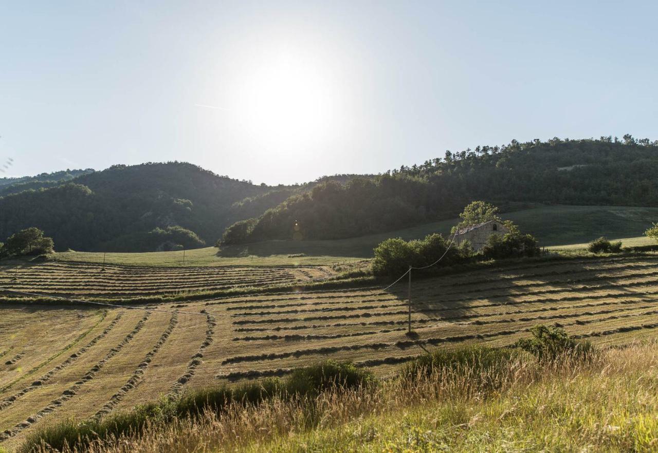 Agriturismo L'Antico Frutto Премилкуоре Екстериор снимка