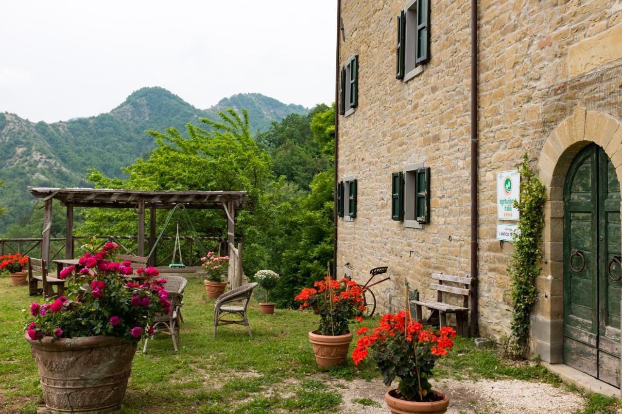 Agriturismo L'Antico Frutto Премилкуоре Екстериор снимка