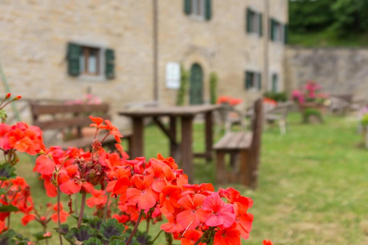 Agriturismo L'Antico Frutto Премилкуоре Екстериор снимка